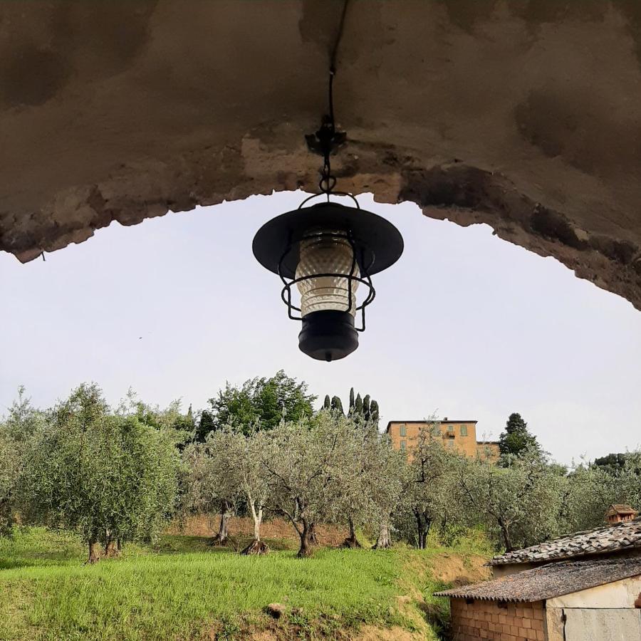 דירות וולטרה Casa Zeno מראה חיצוני תמונה